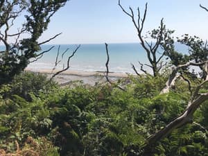 thumbnail: Hiking