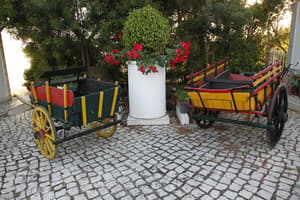 thumbnail: Garden