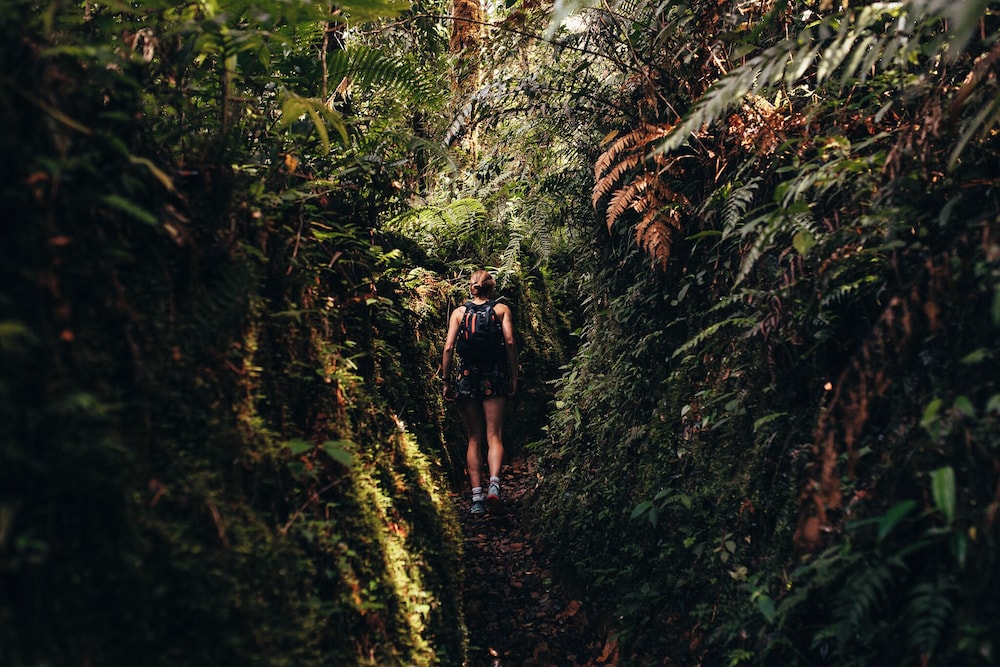 Hiking