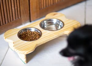 thumbnail: Pet-friendly amenities