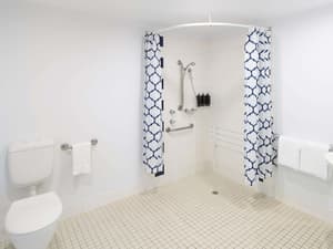 thumbnail: Accessible bathroom