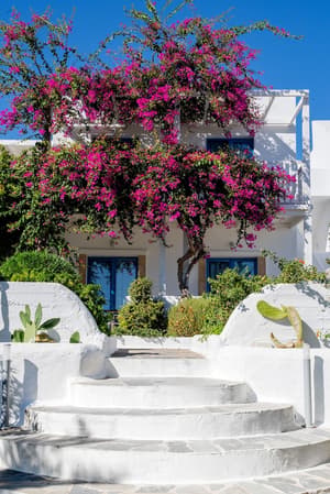 thumbnail: Front of property