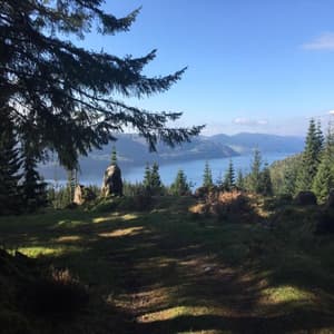 thumbnail: Aerial view