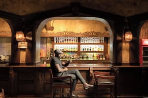 thumbnail: Bar (on property)