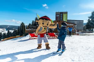 thumbnail: Snow and ski sports