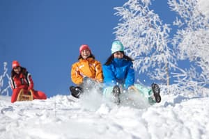 thumbnail: Snow and ski sports