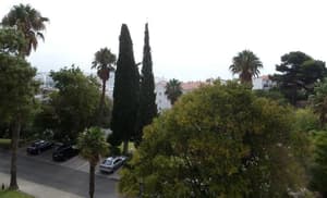 thumbnail: Property grounds