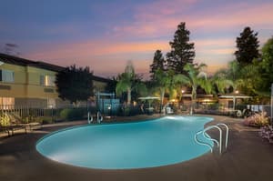 thumbnail: Outdoor pool