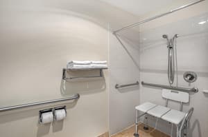thumbnail: Accessible bathroom