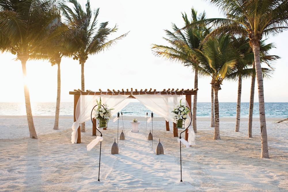 Outdoor wedding area