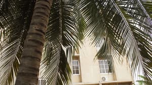 thumbnail: Front of property