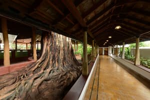 thumbnail: Interior