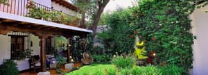 thumbnail: Garden