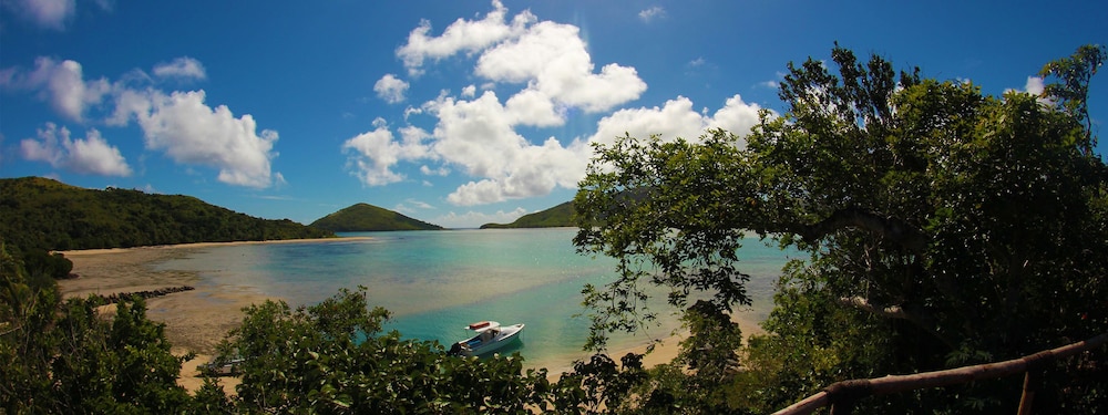 Cruise terminal shuttle