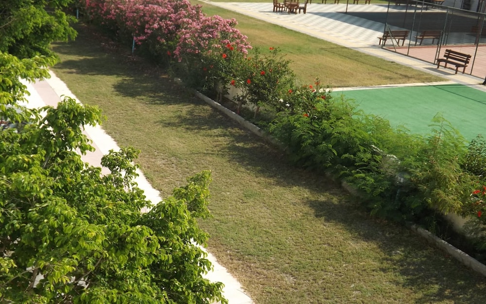 Garden view