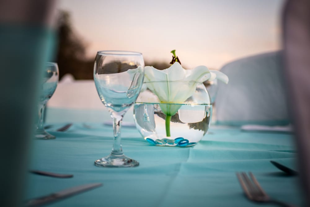 Outdoor wedding area