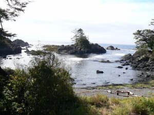 thumbnail: View from property