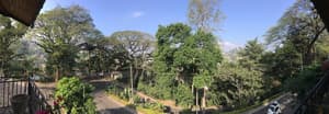 thumbnail: Property grounds