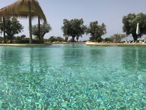 thumbnail: Outdoor pool