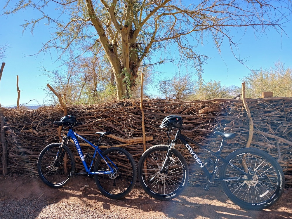 Bicycling