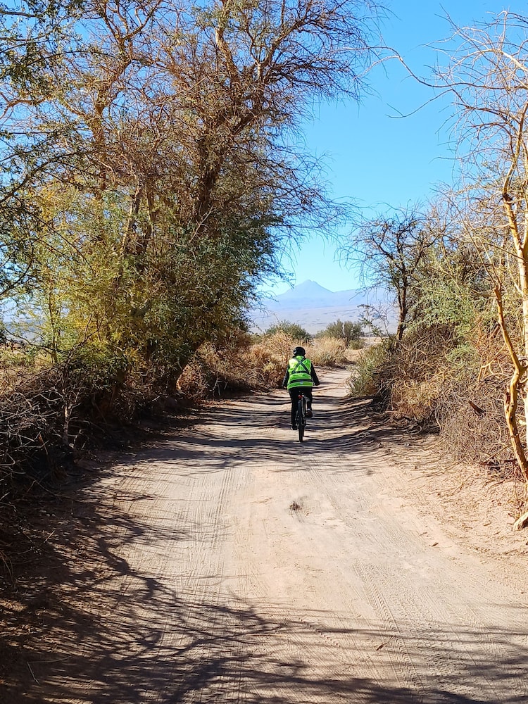 Bicycling