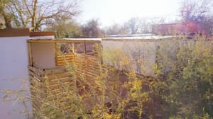 thumbnail: Terrace/patio