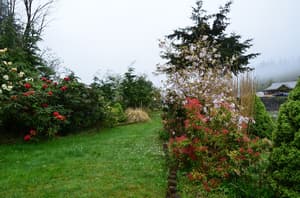 thumbnail: View from property