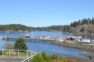 thumbnail: View from property