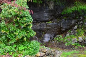 thumbnail: Property grounds