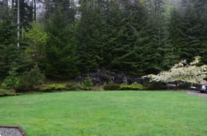 thumbnail: Property grounds
