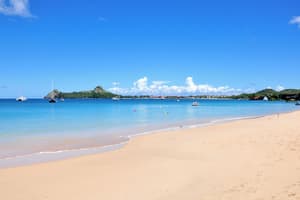 thumbnail: Beach