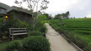 thumbnail: Aerial view