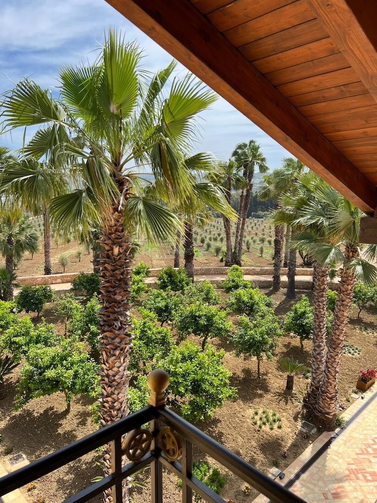 Park view