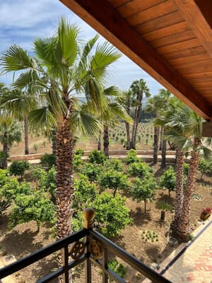 thumbnail: Park view