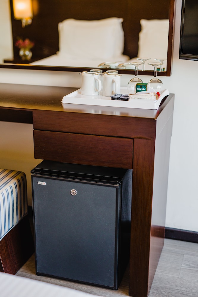 Mini-refrigerator