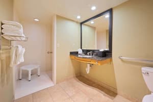 thumbnail: Accessible bathroom