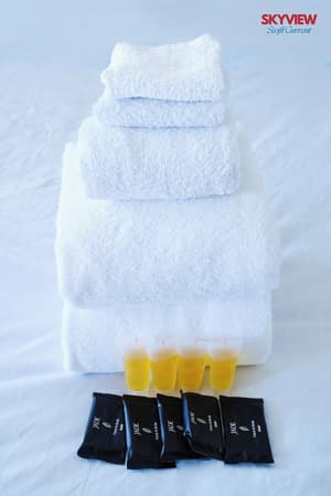 thumbnail: Bathroom amenities