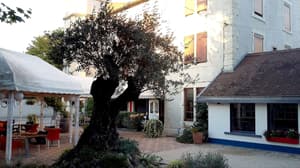 thumbnail: Terrace/patio