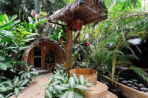thumbnail: Garden