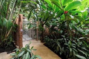 thumbnail: Garden