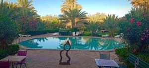 thumbnail: Pool