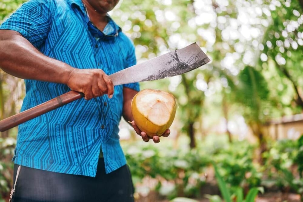 Children's activities