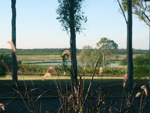 thumbnail: Property grounds