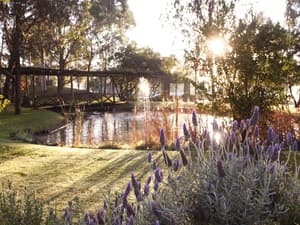 thumbnail: Garden