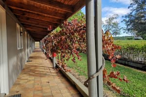 thumbnail: Exterior detail