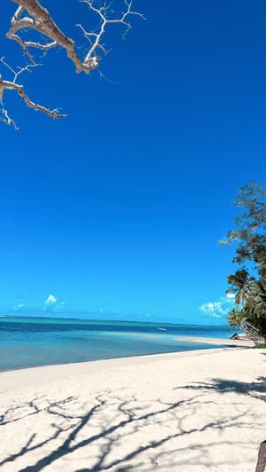 thumbnail: Beach