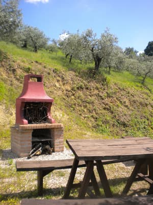 thumbnail: BBQ/picnic area