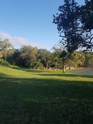 thumbnail: Golf