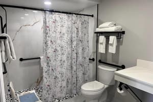 thumbnail: Accessible bathroom