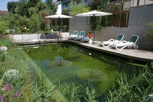 thumbnail: Natural pool
